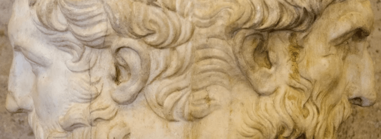 The Janus Array: When Your Data Structure Has Two Faces